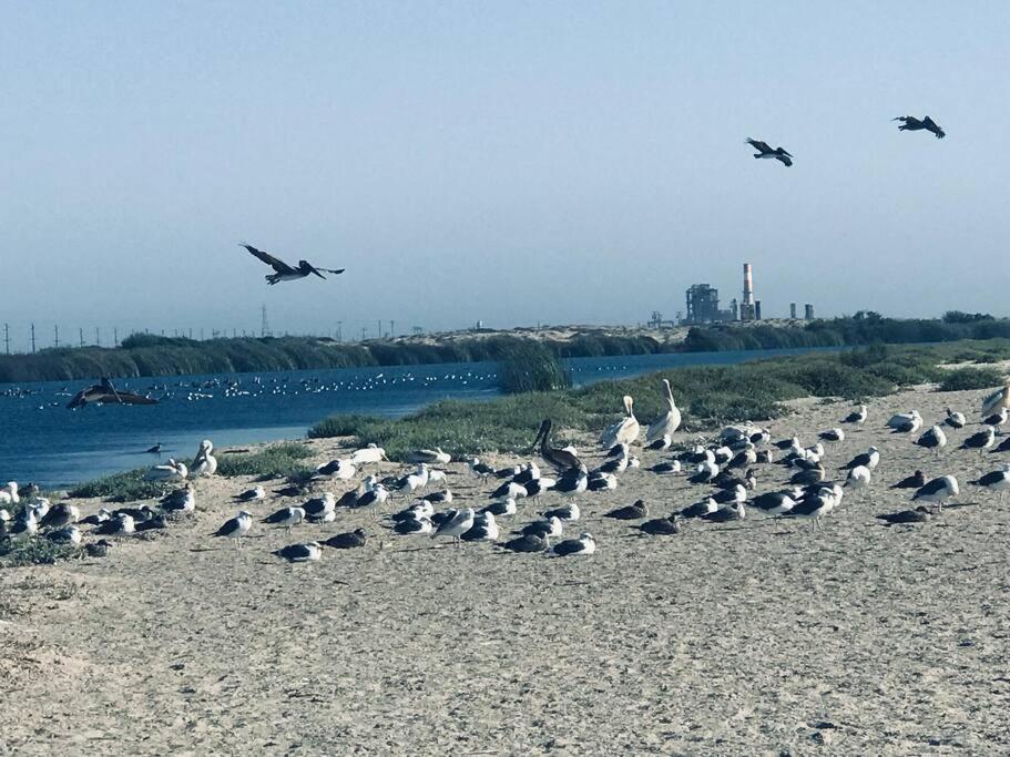 אוקסנארד Romantic Coastal Private Room מראה חיצוני תמונה